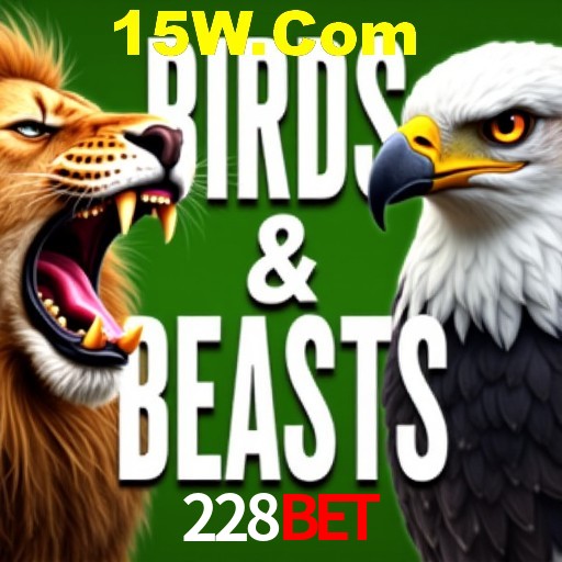 Apostas Esportivas na 228bet: Um Guia Completo