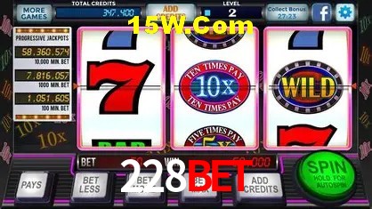 228bet - User Statistics